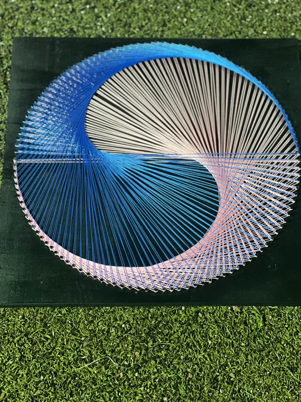 Life Skills & Mentorship